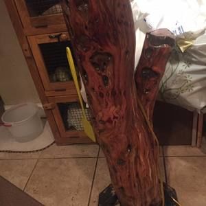 Meet your Posher, Randy